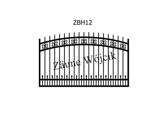 ZBH12