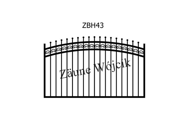 ZBH43