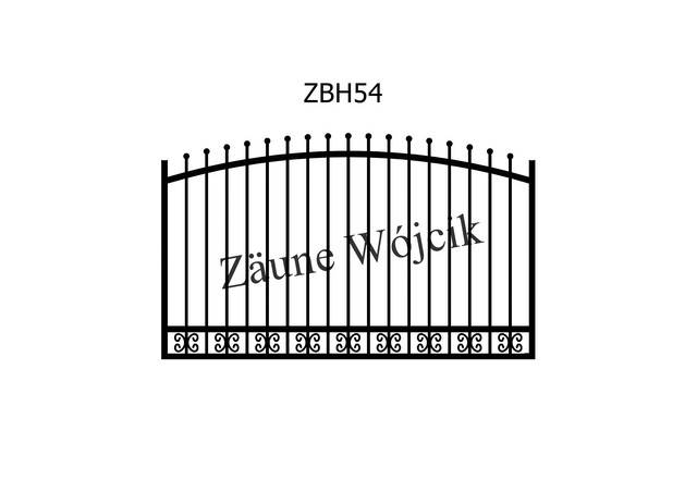 ZBH54