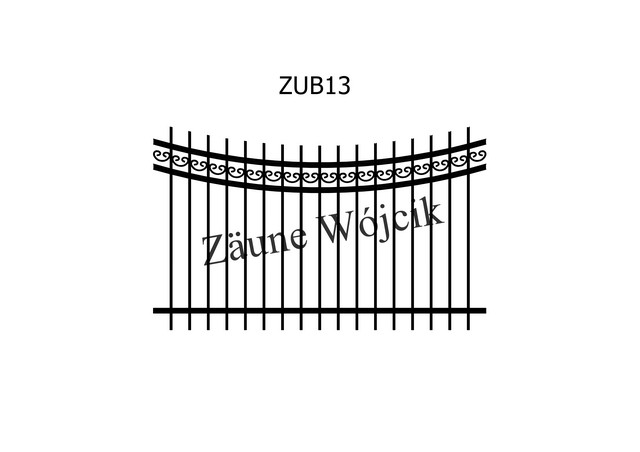 ZUB13