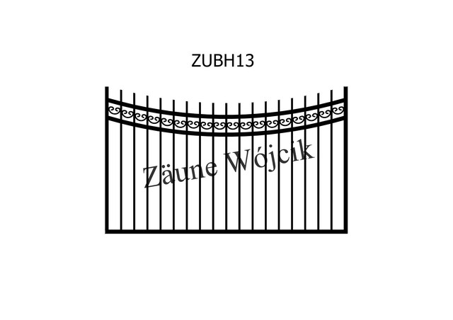 ZUBH13