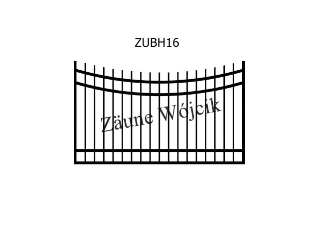 ZUBH16