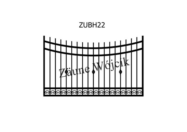 ZUBH22