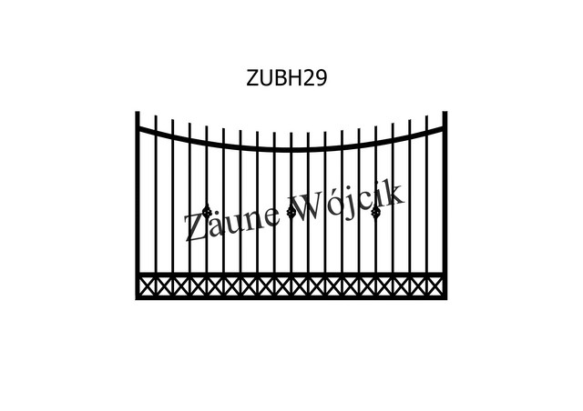 ZUBH29