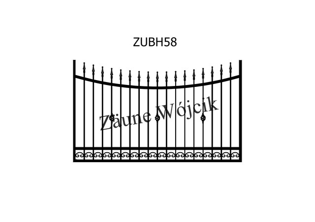 ZUBH58