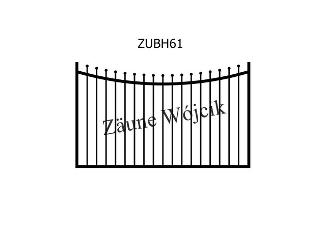 ZUBH61