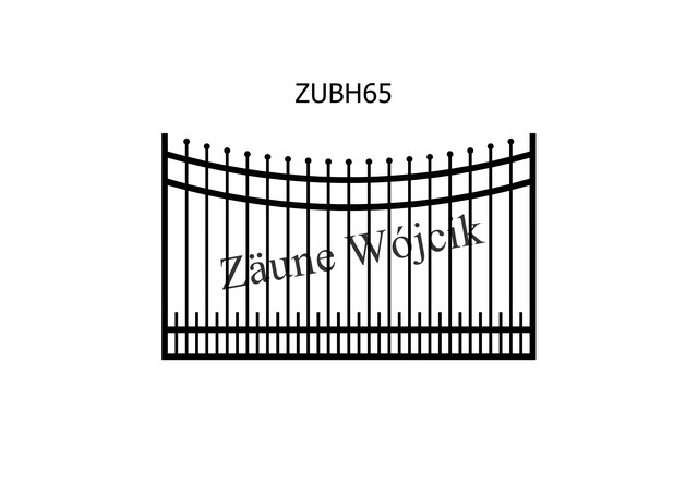 ZUBH65