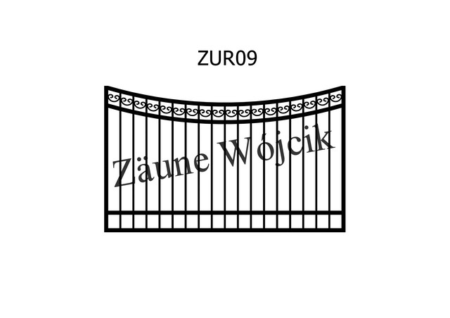 ZUR09
